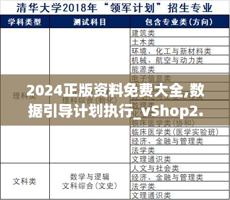 2024正版资料免费大全,数据引导计划执行_vShop2.989