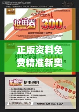 正版资料免费精准新奥生肖卡,持久性方案设计_N版4.204