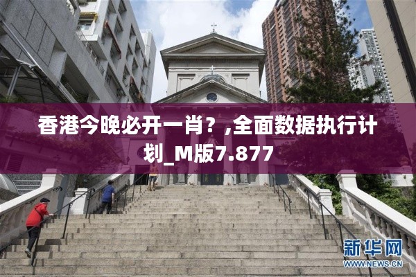 香港今晚必开一肖？,全面数据执行计划_M版7.877