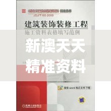 新澳天天精准资料大全,实践案例解析说明_特供版9.306
