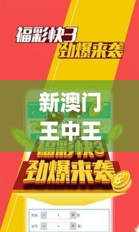新澳门王中王期期中特,稳定计划评估_HD9.645