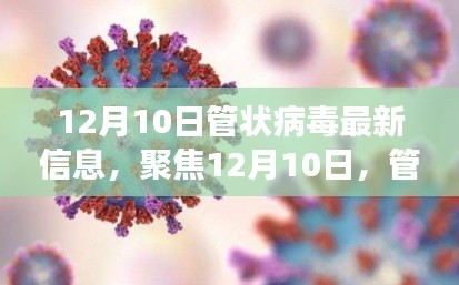 鸟入樊笼 第4页
