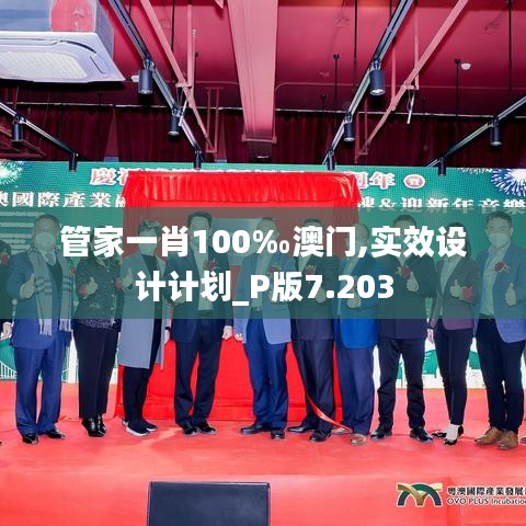 管家一肖100‰澳门,实效设计计划_P版7.203