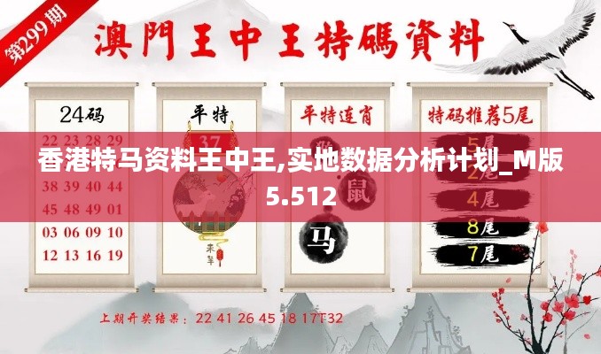 香港特马资料王中王,实地数据分析计划_M版5.512