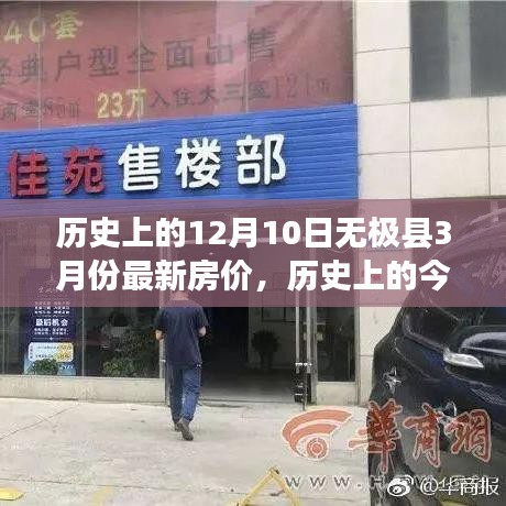 荆钗布裙 第3页
