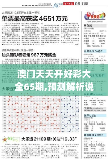 澳门天天开好彩大全65期,预测解析说明_L版9.361