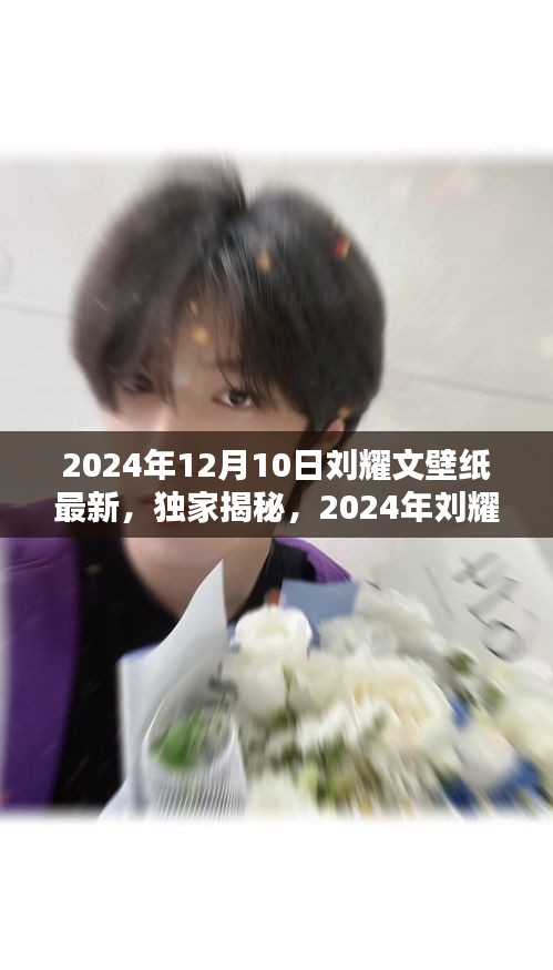 独家揭秘，刘耀文最新壁纸风采深度解析与用户体验体验分享（2024年）