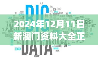 2024年12月11日新澳门资料大全正版资料？奥利奥,数据驱动执行方案_FHD1.818