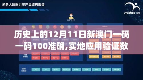 历史上的12月11日新澳门一码一码100准确,实地应用验证数据_3DM8.734