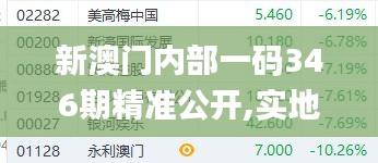 新澳门内部一码346期精准公开,实地研究解释定义_储蓄版8.412