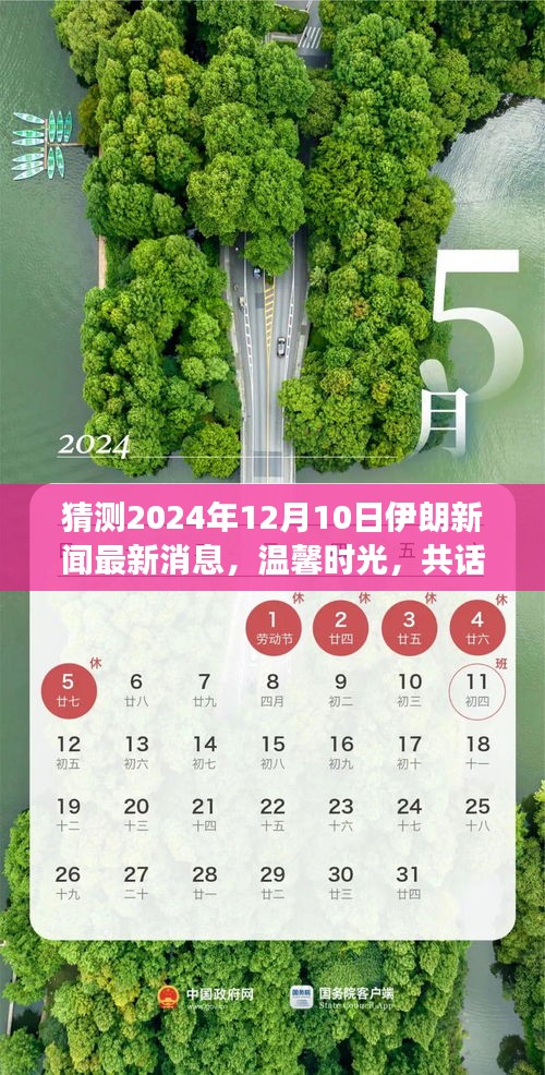 温馨时光共话伊朗未来，友情与陪伴的故事，最新消息揭晓于2024年12月10日