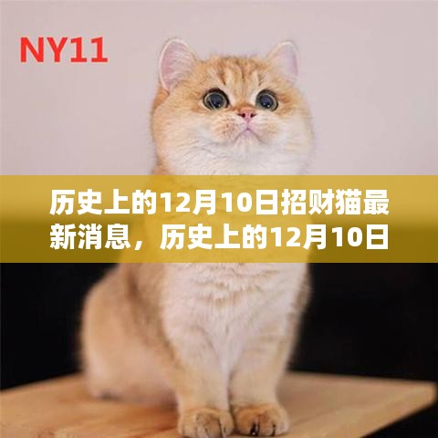 揭秘历史招财猫，揭秘12月10日招财猫最新消息与高科技产品引领未来潮流