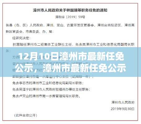 漳州市最新任免公示深度测评与介绍，12月10日更新