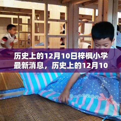 梓枫小学最新消息揭秘，历史上的12月10日深度探讨