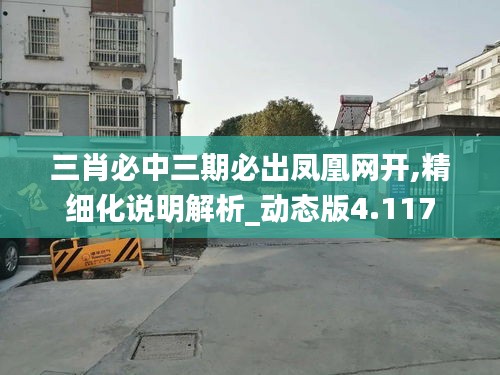 三肖必中三期必出凤凰网开,精细化说明解析_动态版4.117