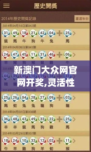 新澳门大众网官网开奖,灵活性计划实施_MT7.163