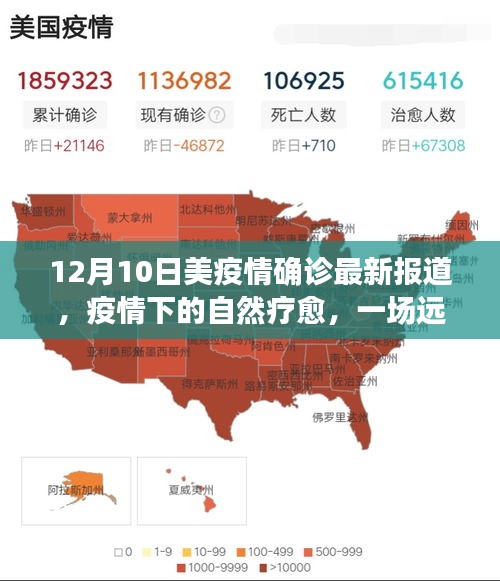 美国疫情下的自然疗愈之旅，美景探索与远离尘嚣的旅行（最新报道）