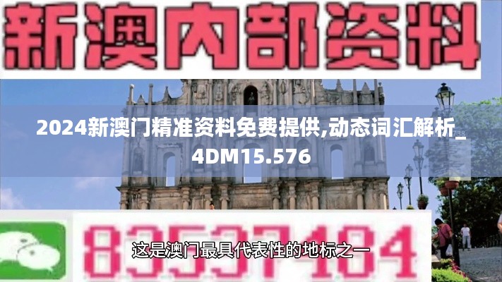 2024新澳门精准资料免费提供,动态词汇解析_4DM15.576