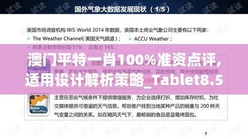 澳门平特一肖100%准资点评,适用设计解析策略_Tablet8.596