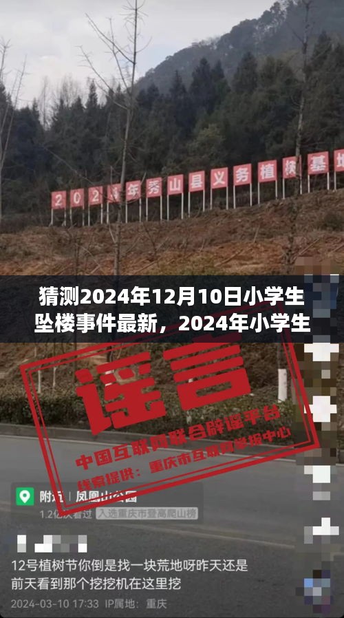 2024年小学生坠楼事件最新预测与深度分析，多方视角探讨事件发展