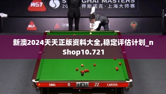 新澳2024天天正版资料大全,稳定评估计划_nShop10.721