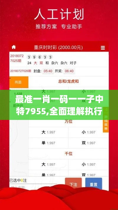 最准一肖一码一一子中特7955,全面理解执行计划_探索版6.341