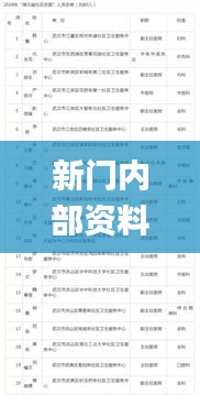 新门内部资料精准大全,专家意见解析_DX版17.376