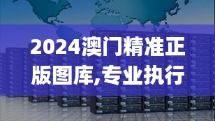 2024澳门精准正版图库,专业执行解答_Phablet18.361