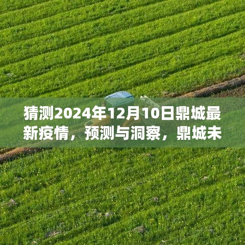 鼎城未来疫情发展预测与洞察，2024年12月10日的视角