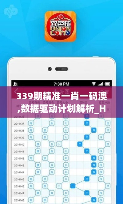 339期精准一肖一码澳,数据驱动计划解析_HT8.338
