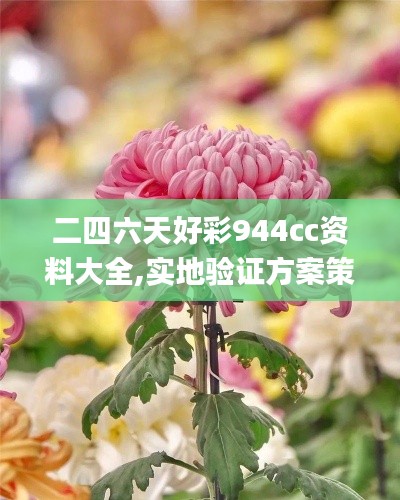 二四六天好彩944cc资料大全,实地验证方案策略_DX版4.869
