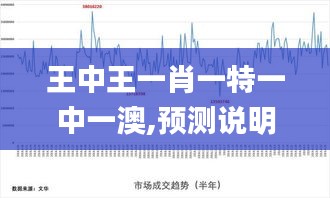 王中王一肖一特一中一澳,预测说明解析_WP15.686
