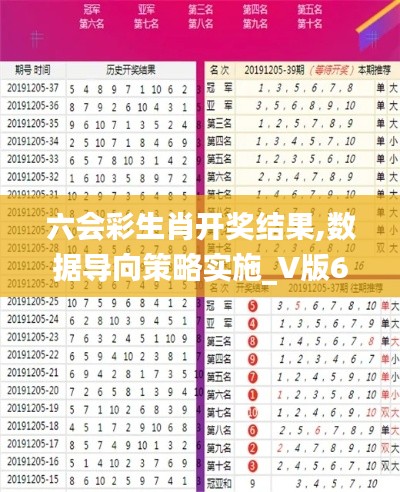 六会彩生肖开奖结果,数据导向策略实施_V版6.141