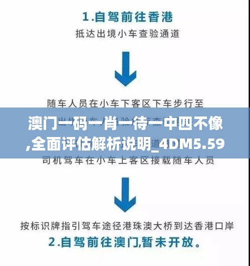 澳门一码一肖一待一中四不像,全面评估解析说明_4DM5.599