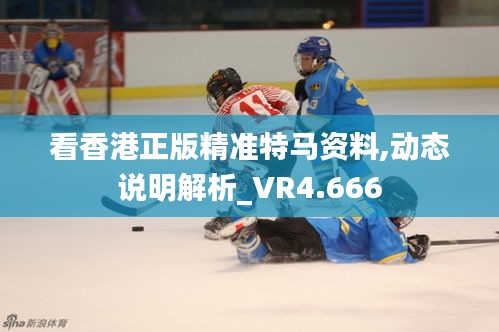 看香港正版精准特马资料,动态说明解析_VR4.666