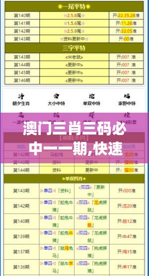 澳门三肖三码必中一一期,快速方案执行指南_AP110.153