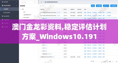 澳门金龙彩资料,稳定评估计划方案_Windows10.191
