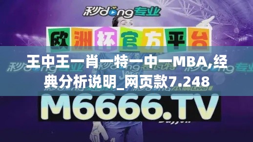 王中王一肖一特一中一MBA,经典分析说明_网页款7.248