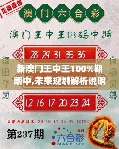 新澳门王中王100%期期中,未来规划解析说明_标配版7.964