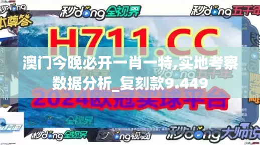 澳门今晚必开一肖一特,实地考察数据分析_复刻款9.449