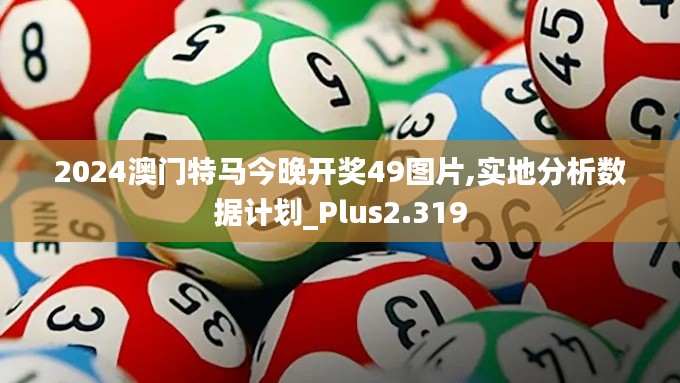 2024澳门特马今晚开奖49图片,实地分析数据计划_Plus2.319