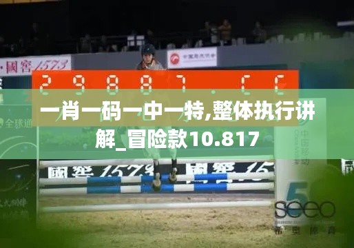 一肖一码一中一特,整体执行讲解_冒险款10.817