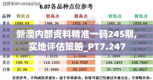 新澳内部资料精准一码245期,实地评估策略_PT7.247