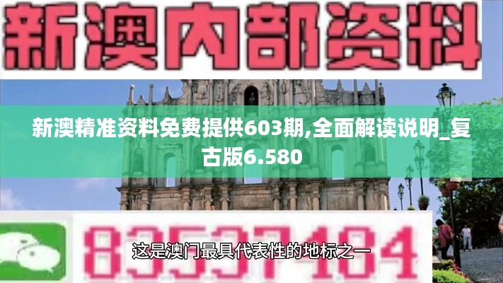 新澳精准资料免费提供603期,全面解读说明_复古版6.580
