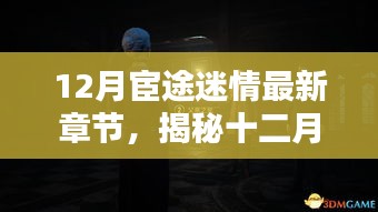 揭秘十二月宦途迷情，最新章节探秘与情感纠葛