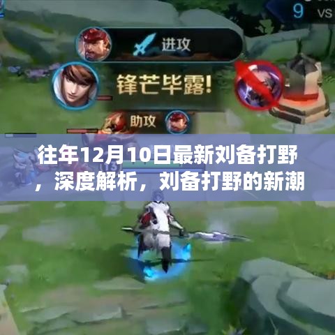 往年12月10日刘备打野深度解析，新潮流下的探讨与实战策略