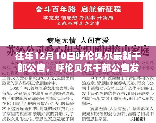 呼伦贝尔最新干部公告发布，深度解读与观点阐述