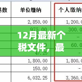 最新个税政策解读与观点分析，某某视角下的立场解读及文件解读报告