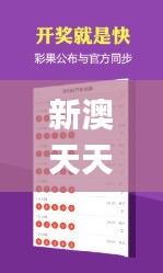新澳天天开好彩资料大全347期,稳定策略分析_尊贵款10.641