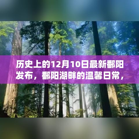 鄱阳湖畔的温馨日常，12月10日的特别发布与友情故事揭秘